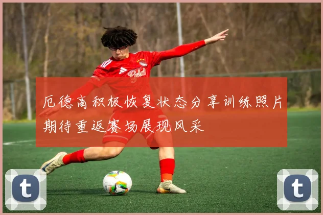 厄德高积极恢复状态分享训练照片期待重返赛场展现风采