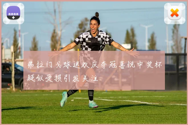 弗拉门戈球迷欢庆夺冠喜悦中奖杯疑似受损引发关注