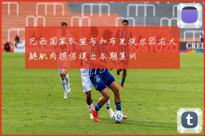 巴西国家队宣布加布里埃尔因右大腿肌肉损伤退出本期集训