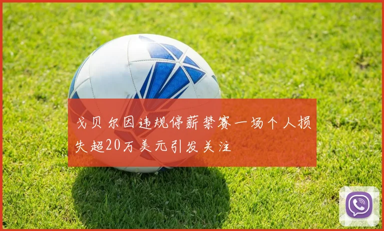 戈贝尔因违规停薪禁赛一场个人损失超20万美元引发关注